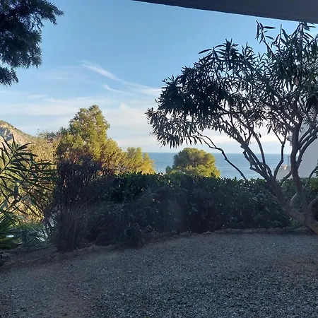 Les Palmiers Apartmán Menton