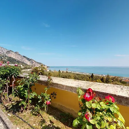 Les Palmiers Apartament