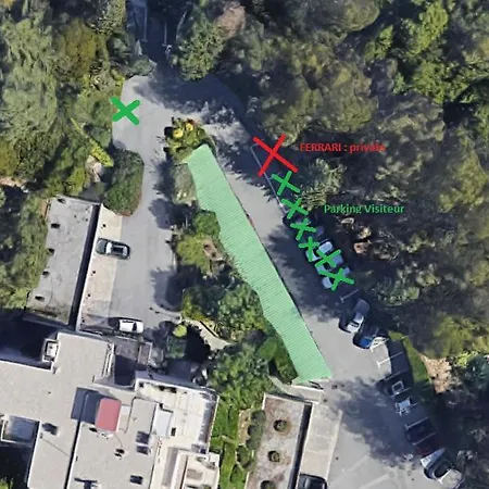 Les Palmiers * マントン