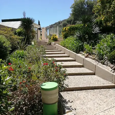 Les Palmiers דירה